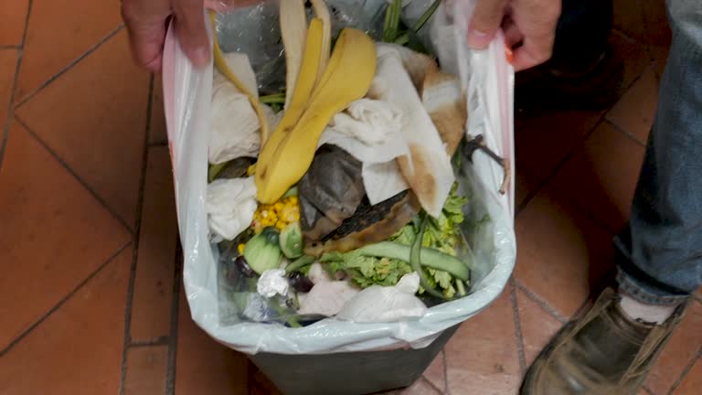 Best Yard Waste Removal  in Wickerham Manor Fisher, PA